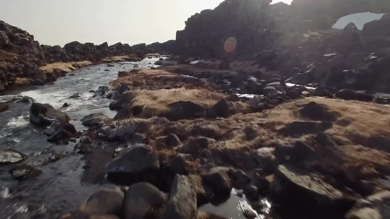 Free Video Stock Stream Flowing Through Moss Live Wallpaper - Free Download