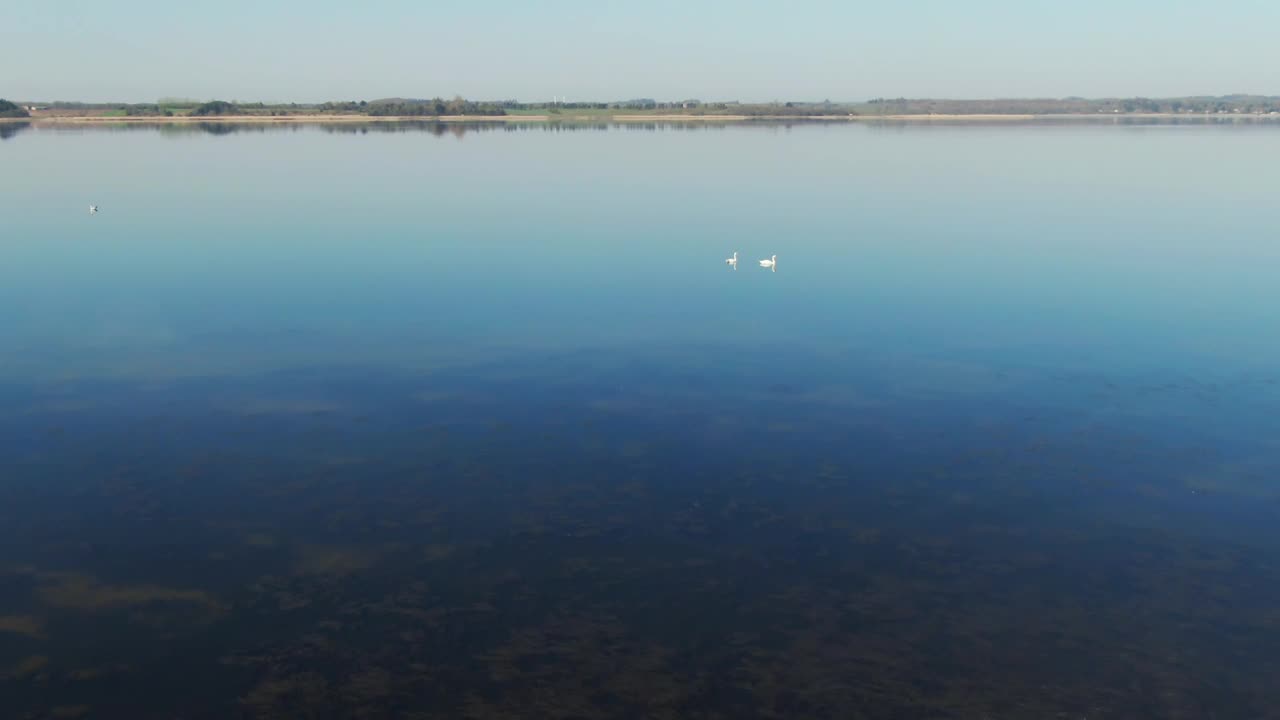 Stock Video Drone Flying Over Lake Birds Live Wallpaper For PC - Free Download