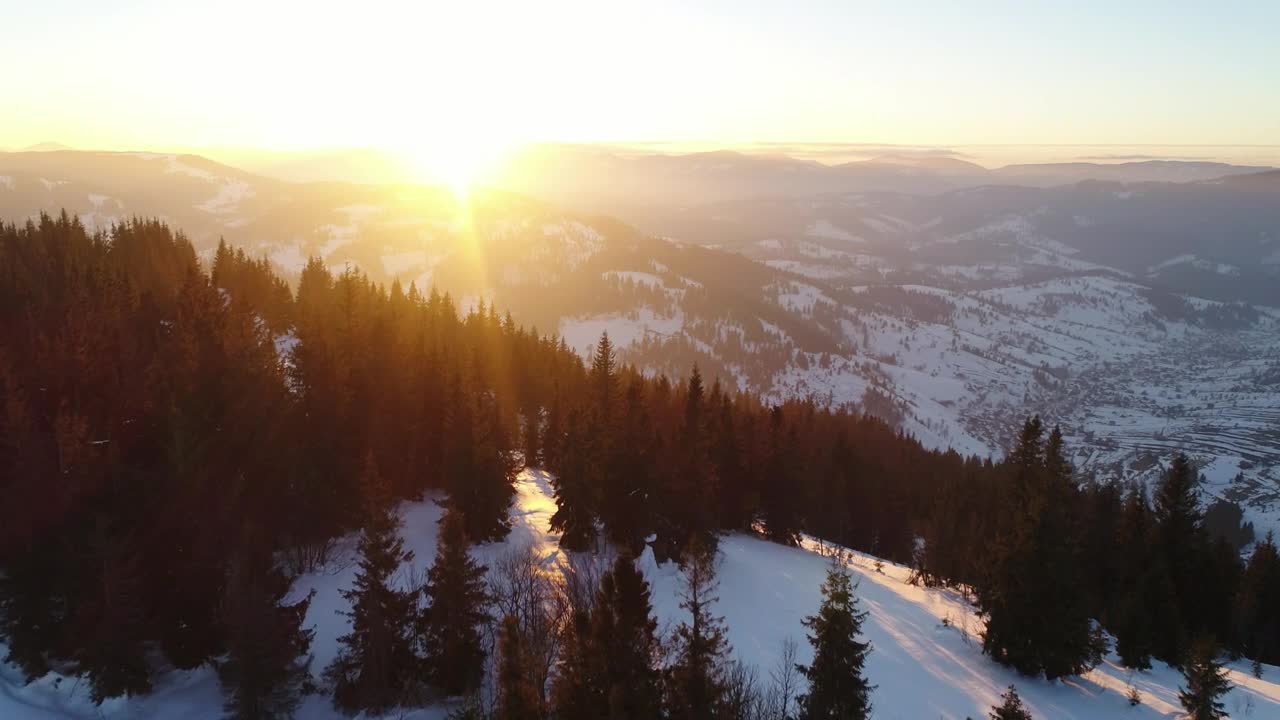 Free Video Stock Snowy Mountain Pine Trees Receiving The Sun Live Wallpaper - Free Download