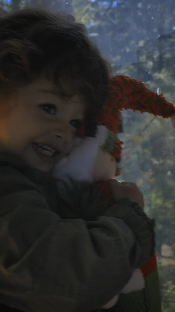 Stock Video Happy And Funny Girl With A Stuffed Santa Claus Animated Wallpaper - Free Download