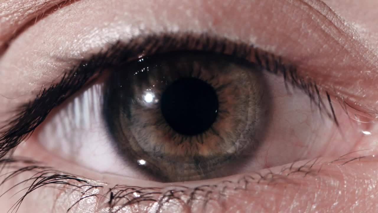 Video Stock Closeup Of A Dark Grey Eye Live Wallpaper For PC - Free Download