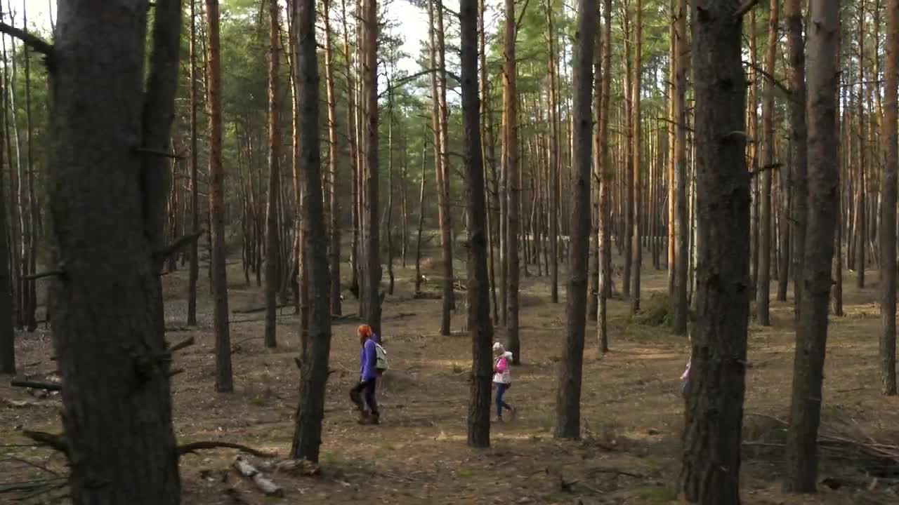Stock Video Family Hiking Through The Forest Live Wallpaper For PC - Free Download