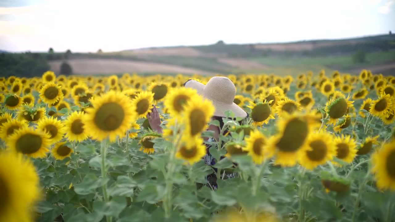 Stock Video Lady With A Hat Walking In The Crops Animated Wallpaper - Free Download
