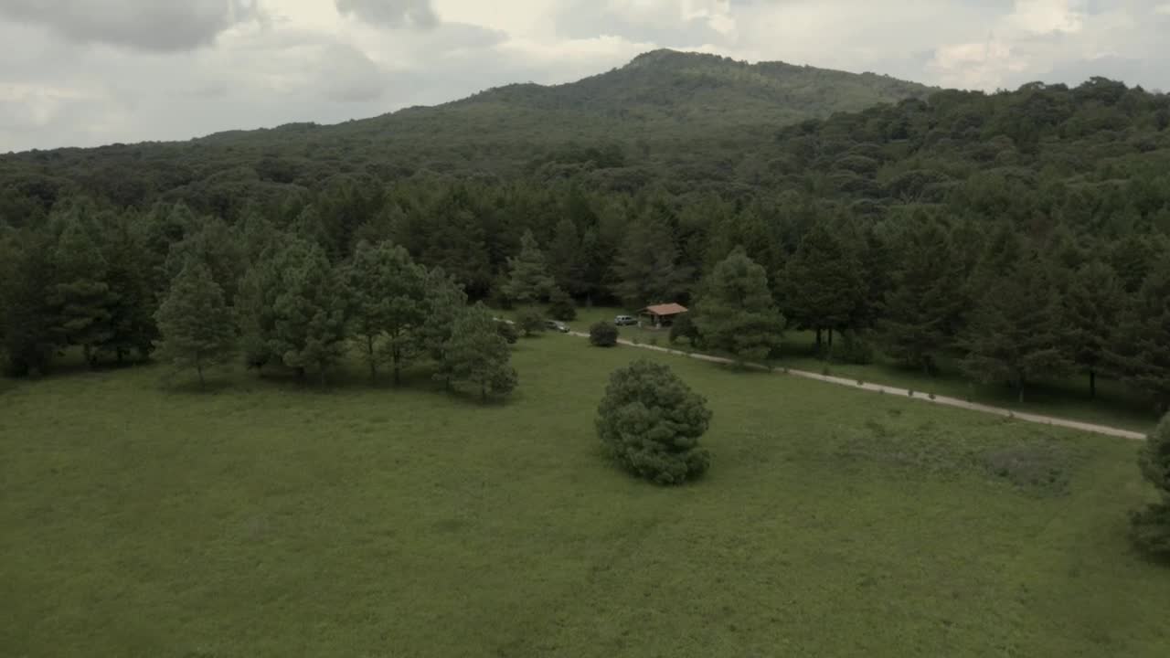 Video Stock Car Crossing A Meadow In The Middle Of A Large Live Wallpaper For PC - Free Download