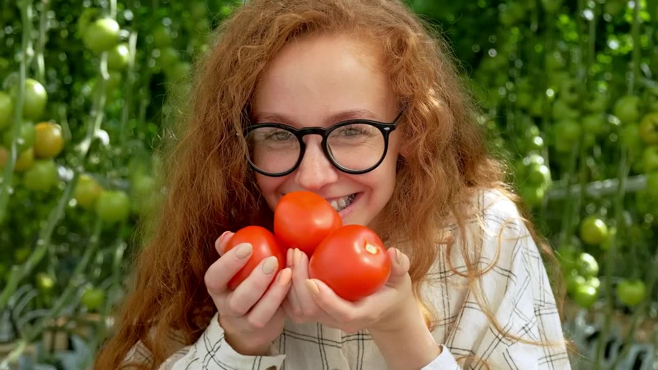 Stock Video Happy Farmer Smiling While Holding Tomatoes On Hands Animated Wallpaper - Free Download