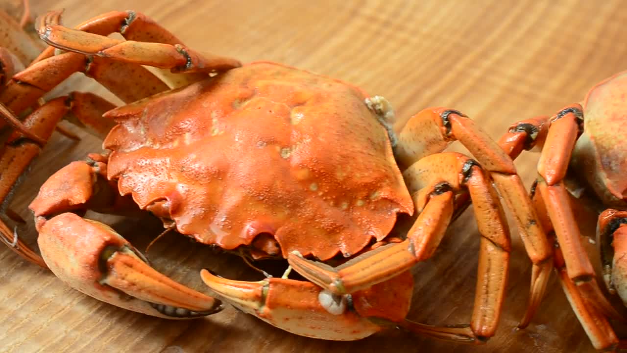 Stock Video Crabs On A Kitchen Table Live Wallpaper For PC - Free Download
