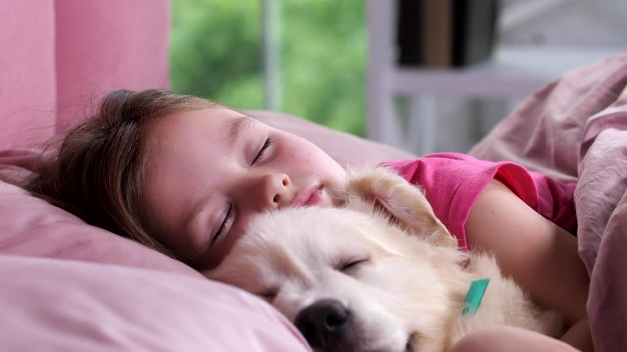 Stock Video Little Girl Asleep With Her Dog Animated Wallpaper - Free Download