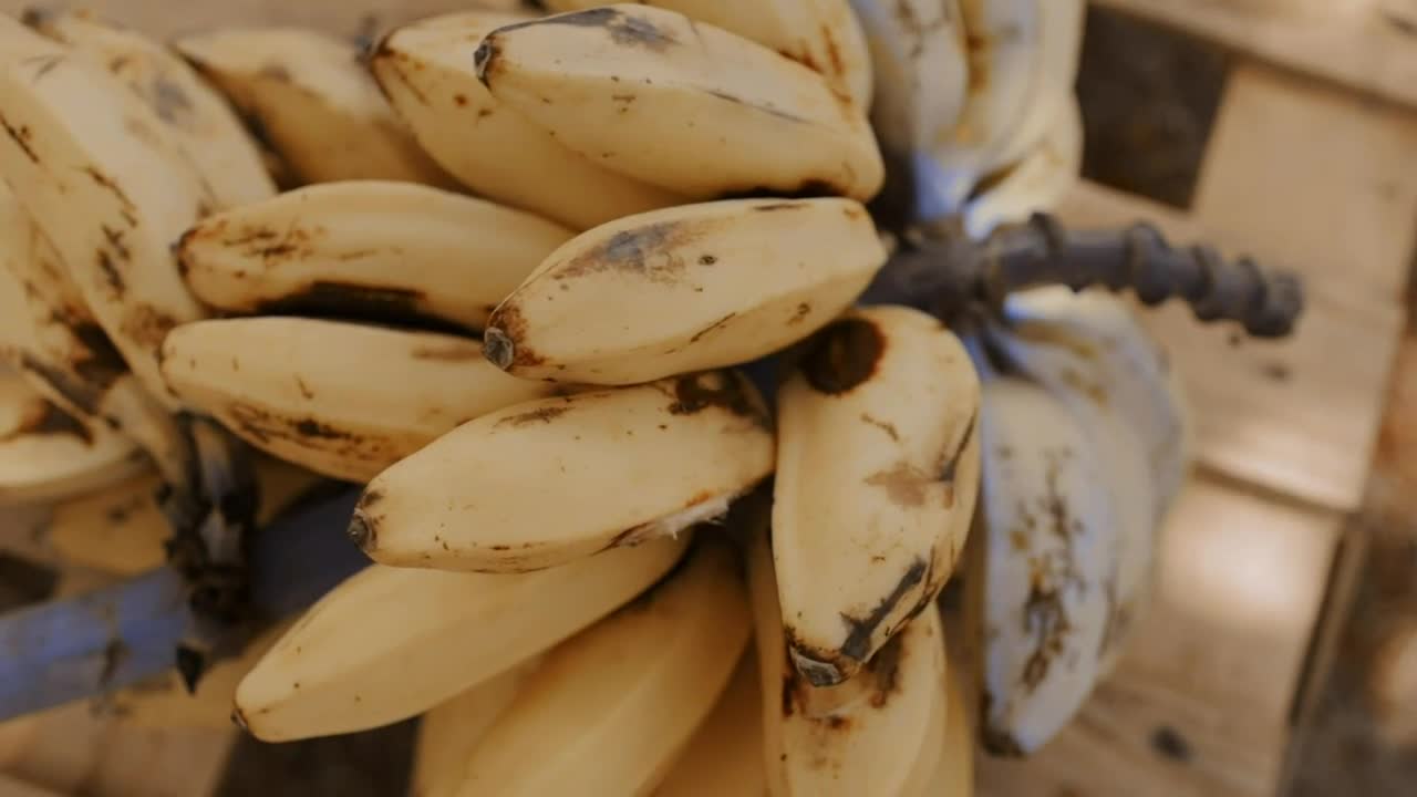Stock Video Cluster Of Small Bananas Closeup Live Wallpaper For PC - Free Download