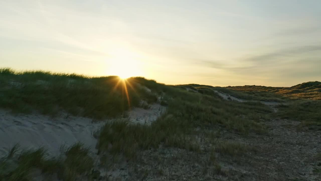 Free Video Stock sunrise over wild grass Live Wallpaper - Free Download