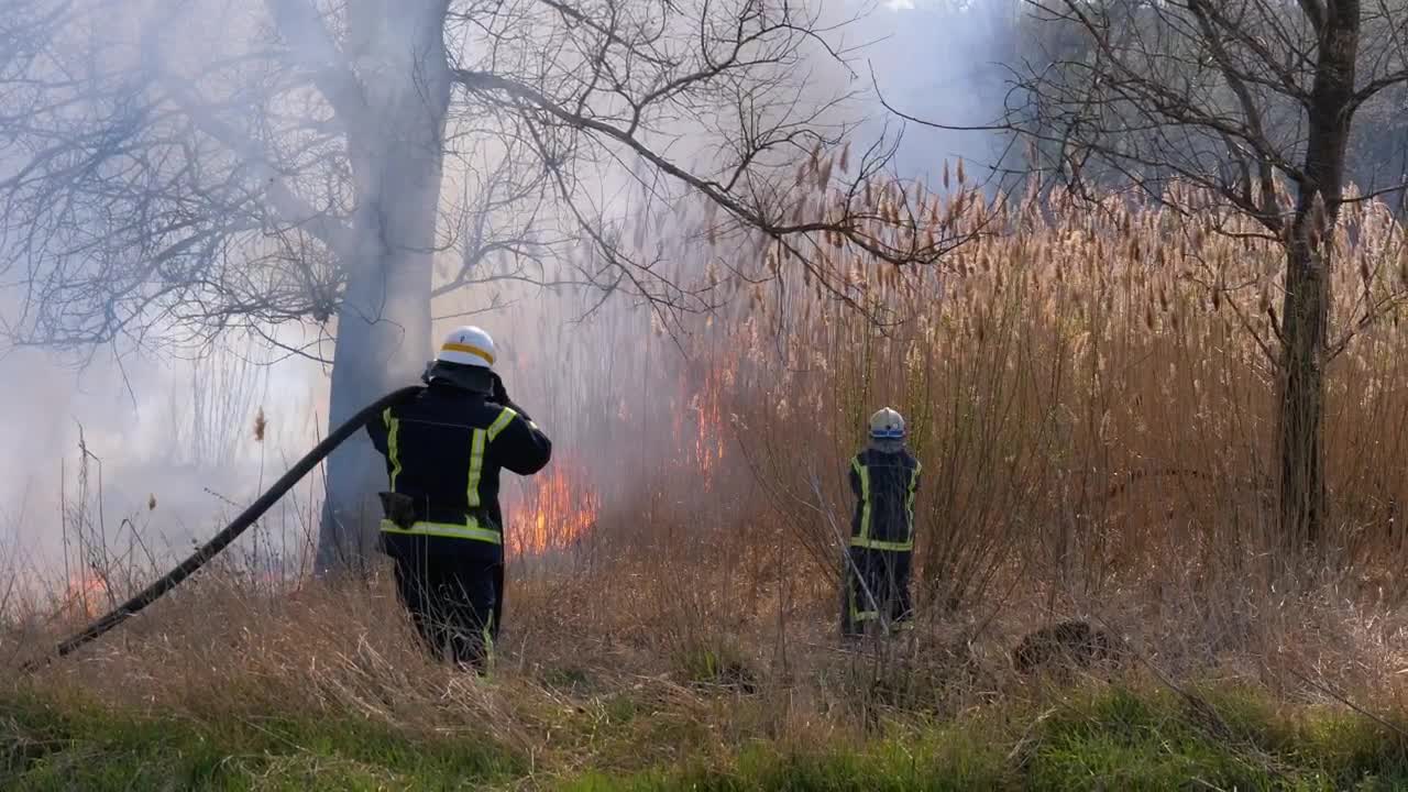 Stock Video Firefighters And Hoes Extinguishing The Fire Live Wallpaper For PC - Free Download