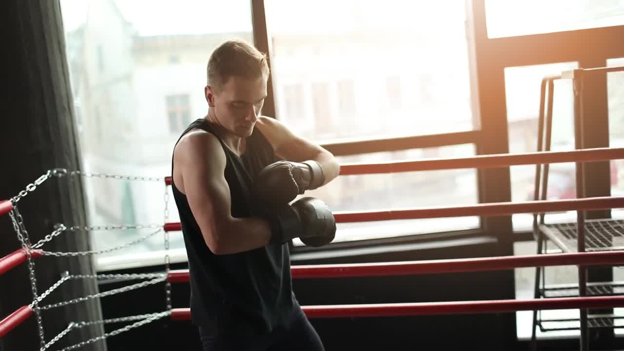 Stock Footage Winner Prepares For Boxing Match In Ring Live Wallpaper - Free Download