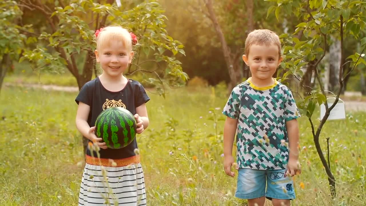Free Stock Video Two Little Boys Waving At The Camera Live Wallpaper - Free Download