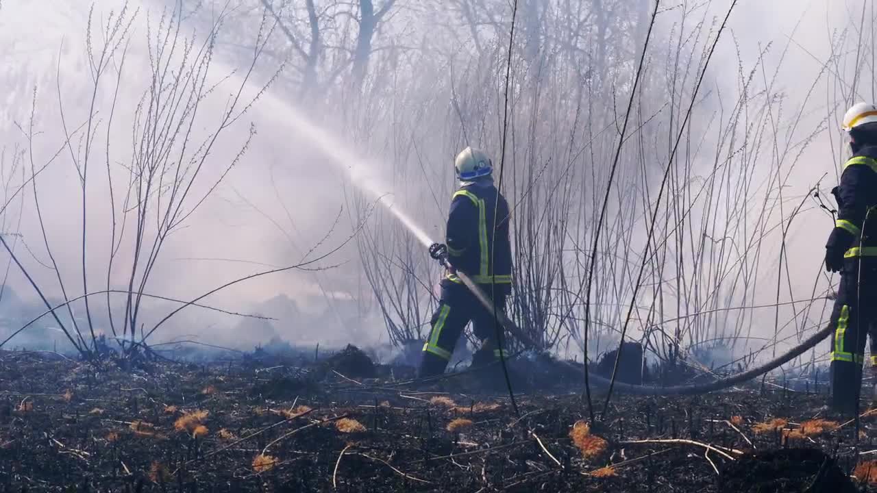 Stock Video Firefighters Throwing Water In The Woods Live Wallpaper For PC - Free Download
