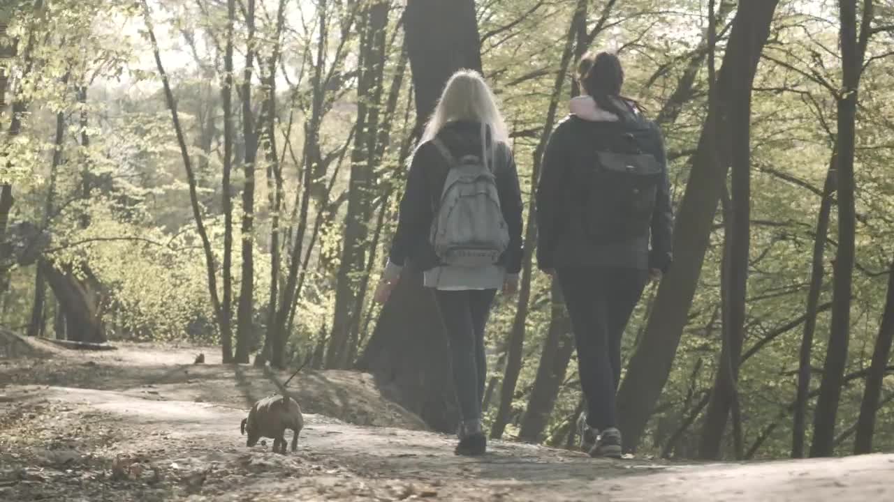 Stock Video Millennial Girlfriends Walk Little Dog On Forest Pat Animated Wallpaper - Free Download