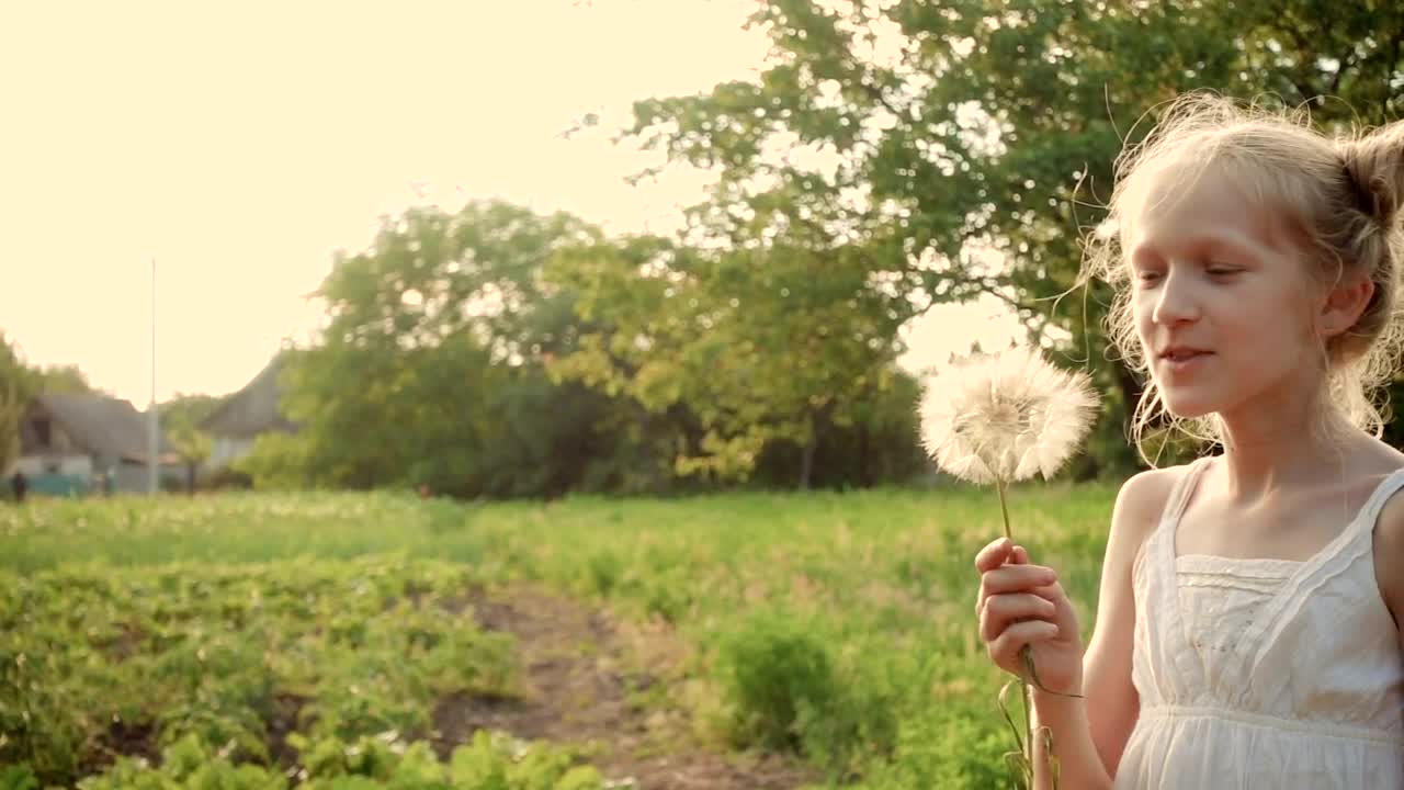 Stock Video Girl Blowing A Dandelion Flower Live Wallpaper For PC - Free Download