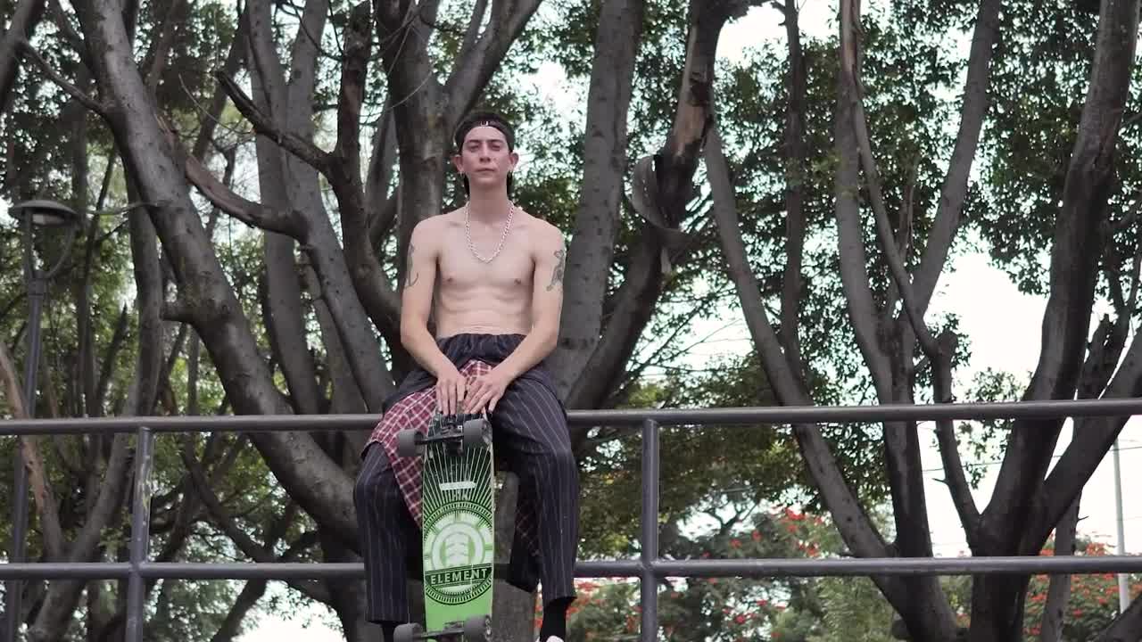 Free Video Stock Skater With His Skateboard Portrait Live Wallpaper - Free Download