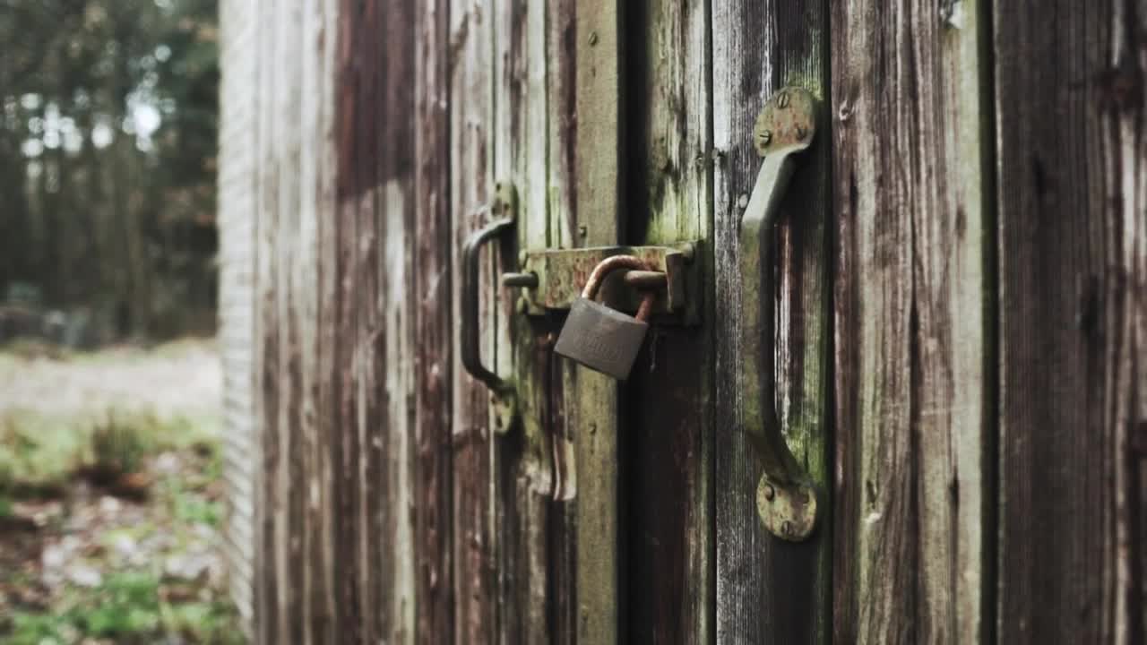 Free Stock Video Shed In The Forest Closed With A Padlock Live Wallpaper - Free Download