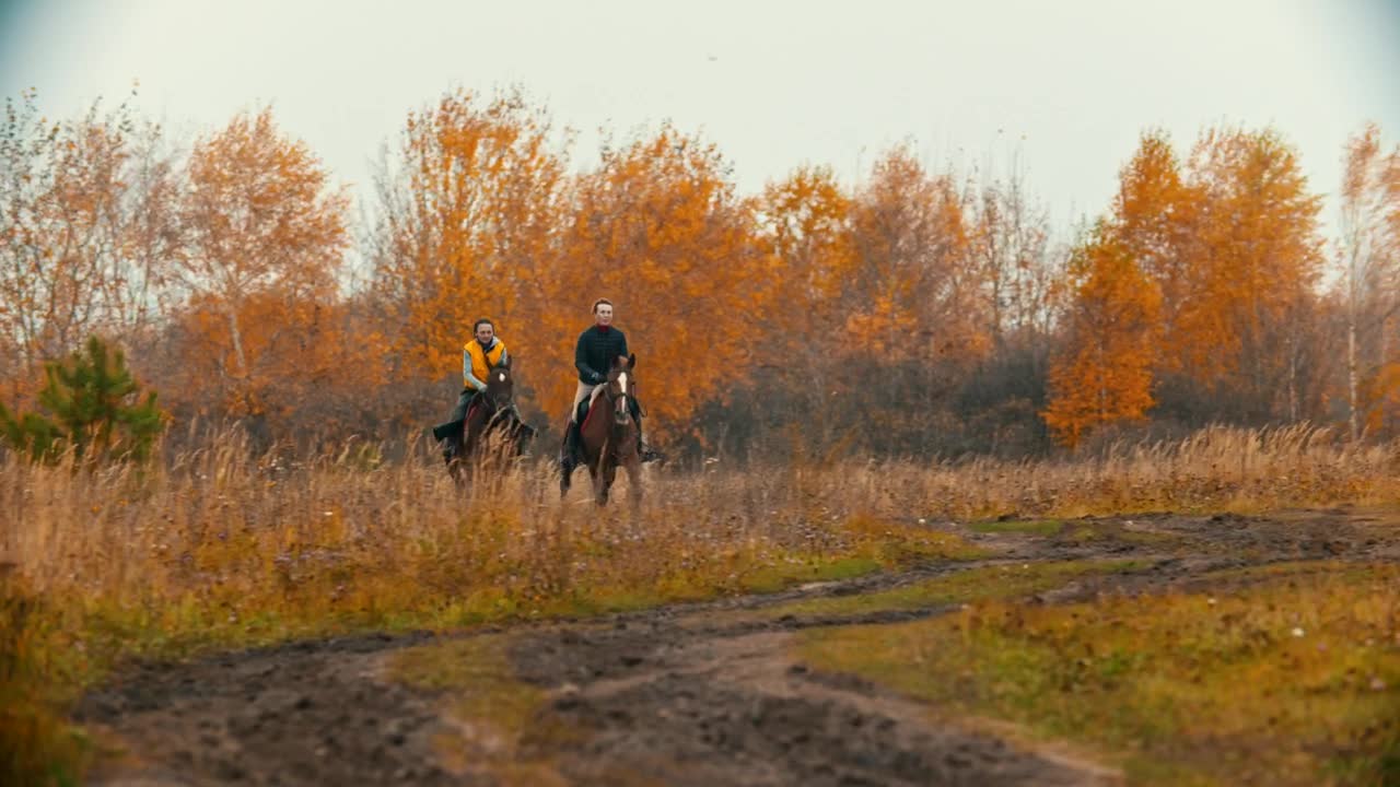 Stock Video People Galloping On Horses In A Forest Live Wallpaper - Free Download