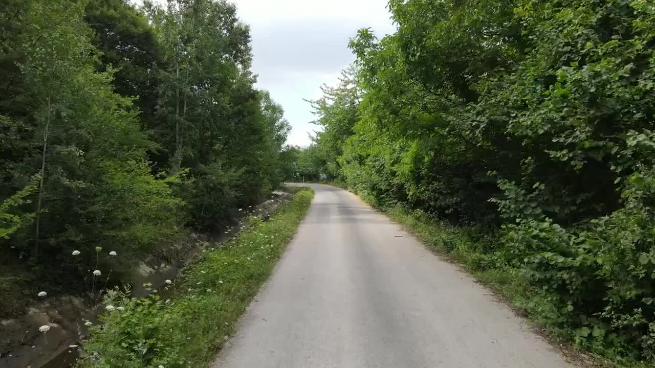Stock Video Narrow And Lonely Road Surrounded By A Forest Live Wallpaper - Free Download