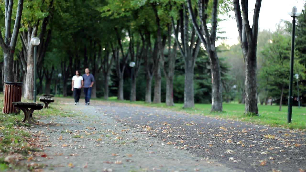 Free Stock Video Two Male Friends Walking Down A Quiet Park Live Wallpaper - Free Download