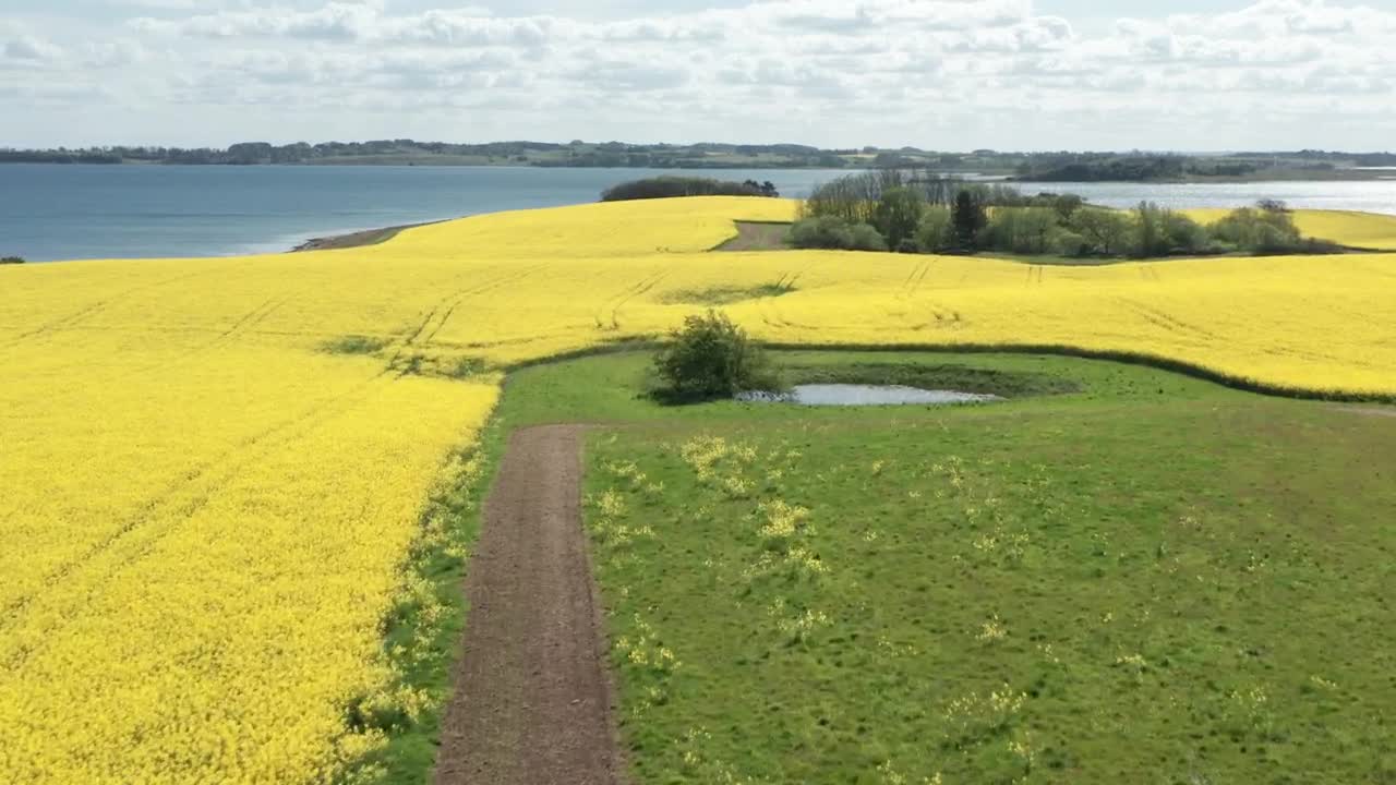 Stock Video Drone Flying Over Grassland Live Wallpaper For PC - Free Download