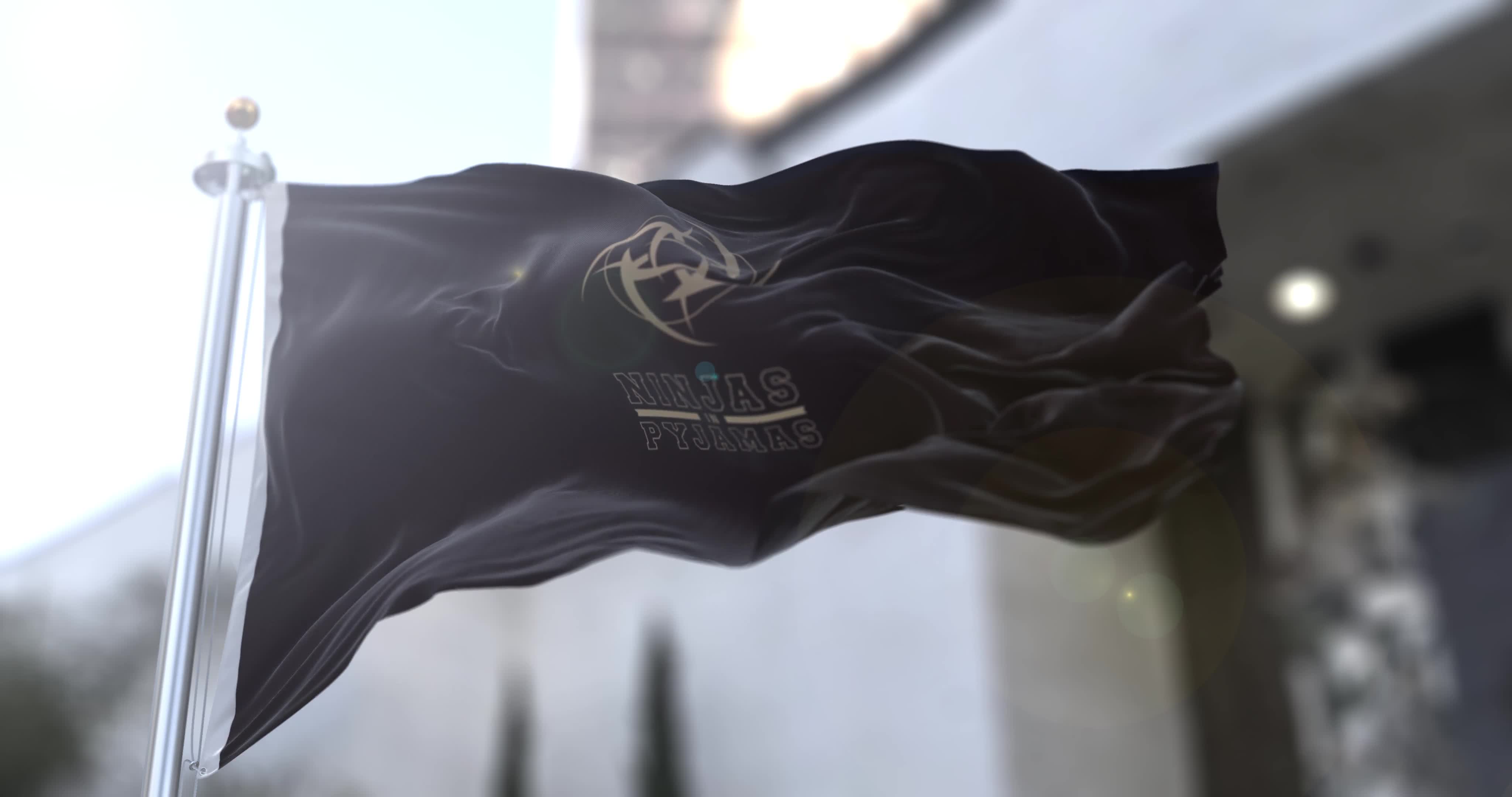 4k Ninjas In Pyjamas Flag Live Wallpaper Free - Free Download
