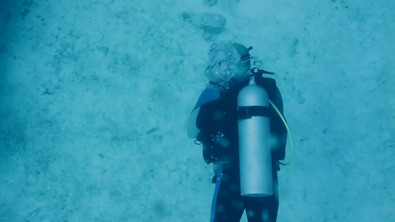 Stock Video Diver Under The Water Live Wallpaper For PC - Free Download