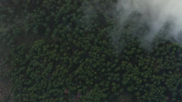 Free Stock Video View High Above A Large Forest Through The Clouds Smalllive Wallpaper - Free Download