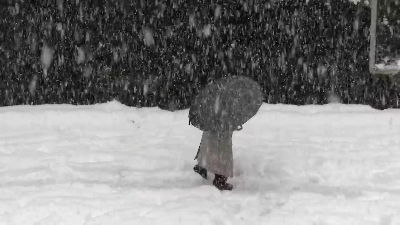 Stock Video Man With An Umbrella Walking In The Sno Animated Wallpaper - Free Download