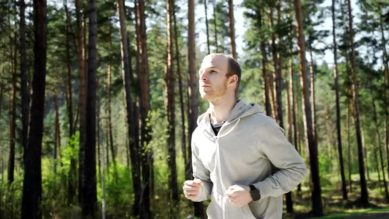 Stock Video Man Jogging In Forest Checks Gps Watc Animated Wallpaper - Free Download