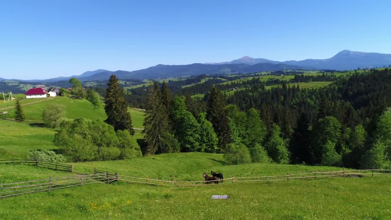 Video Stock Prairie View Of A Ranch With Horses Live Wallpaper Free - Free Download