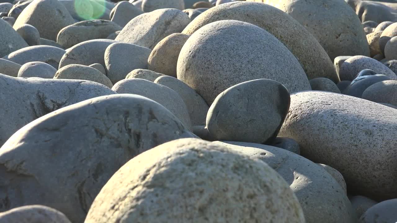 Stock Video Natural Round River Stones Live Wallpaper - Free Download