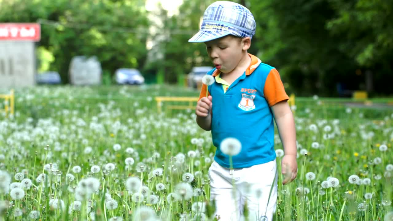 Video Stock Child Playing With Wildflowers Live Wallpaper For PC - Free Download