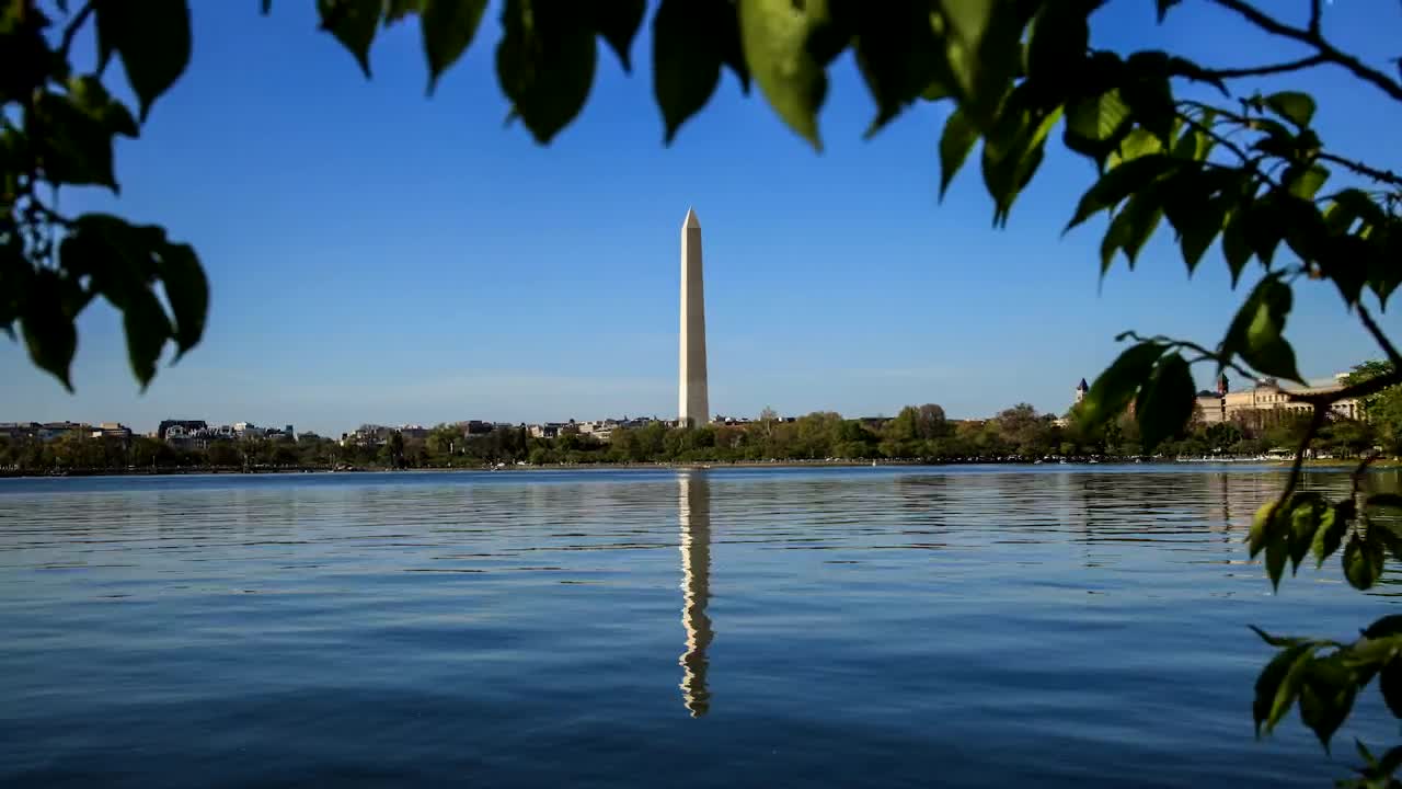 Free Video Stock timelapse of the washington momument Live Wallpaper - Free Download