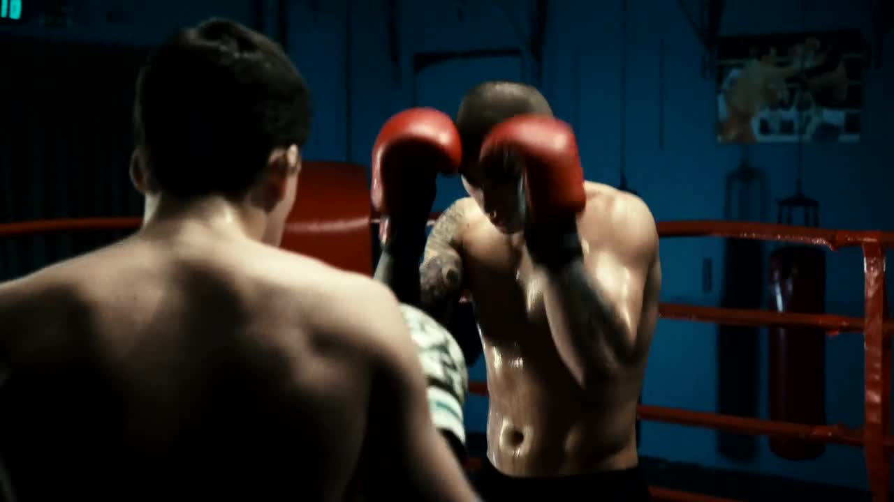 Stock Video Men Fighting On The Rin Animated Wallpaper - Free Download