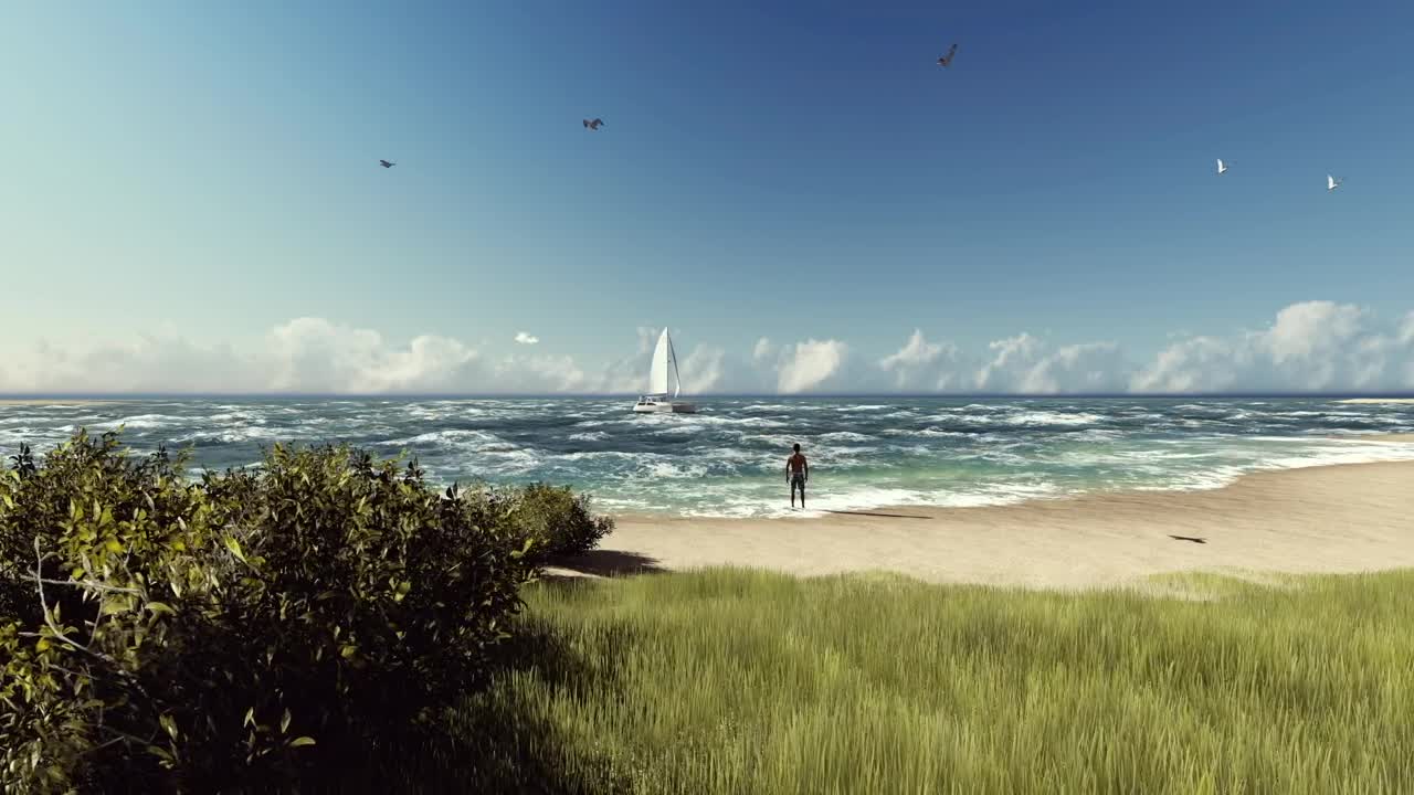 Stock Video Man Looking At A Sailboat On The Beac Animated Wallpaper - Free Download