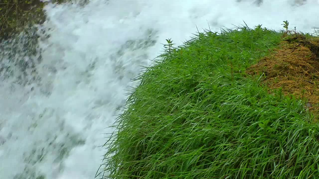 Free Stock Video Waterfall Seen Closely Static Shot Live Wallpaper - Free Download