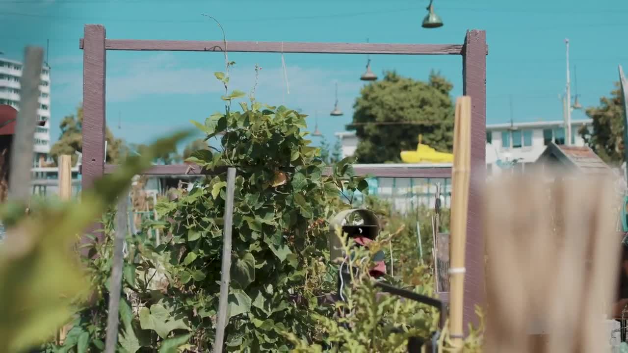 Stock Video Girl Walking Through A Nursery Garden Live Wallpaper For PC - Free Download