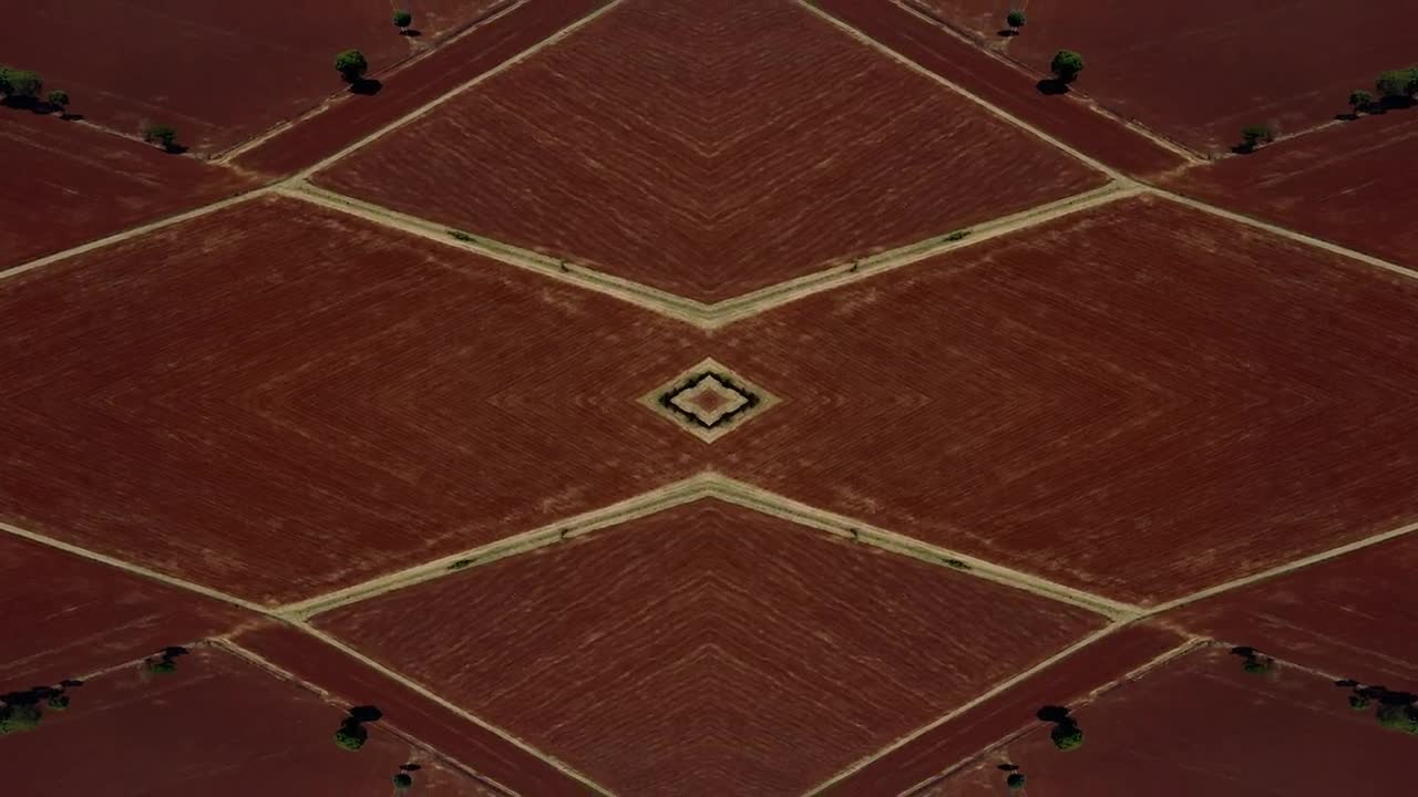 Free Video Stock Sowing Red Ground Live Wallpaper - Free Download