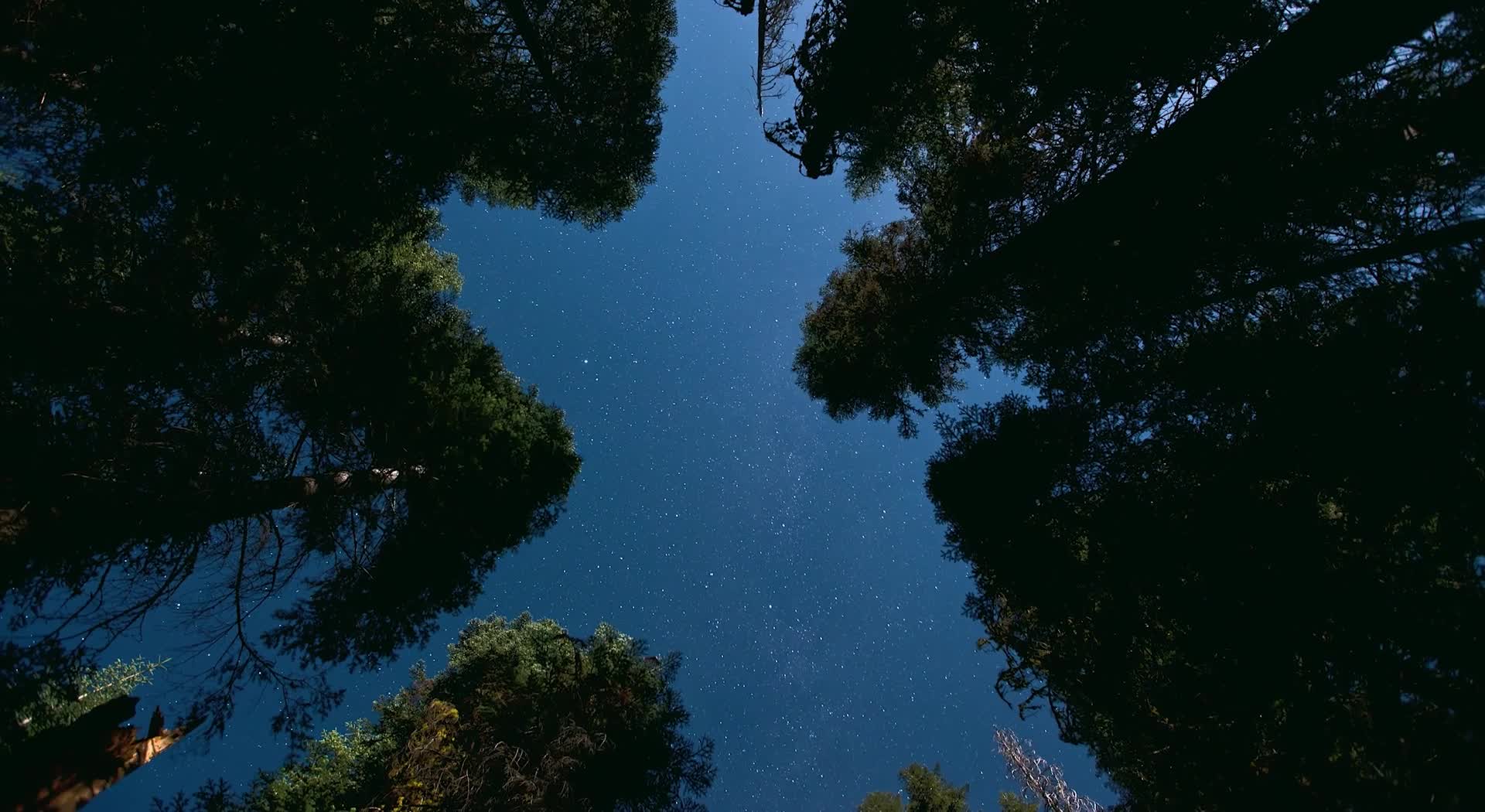 Nature Time Scape Hd Live Wallpaper - Free Download