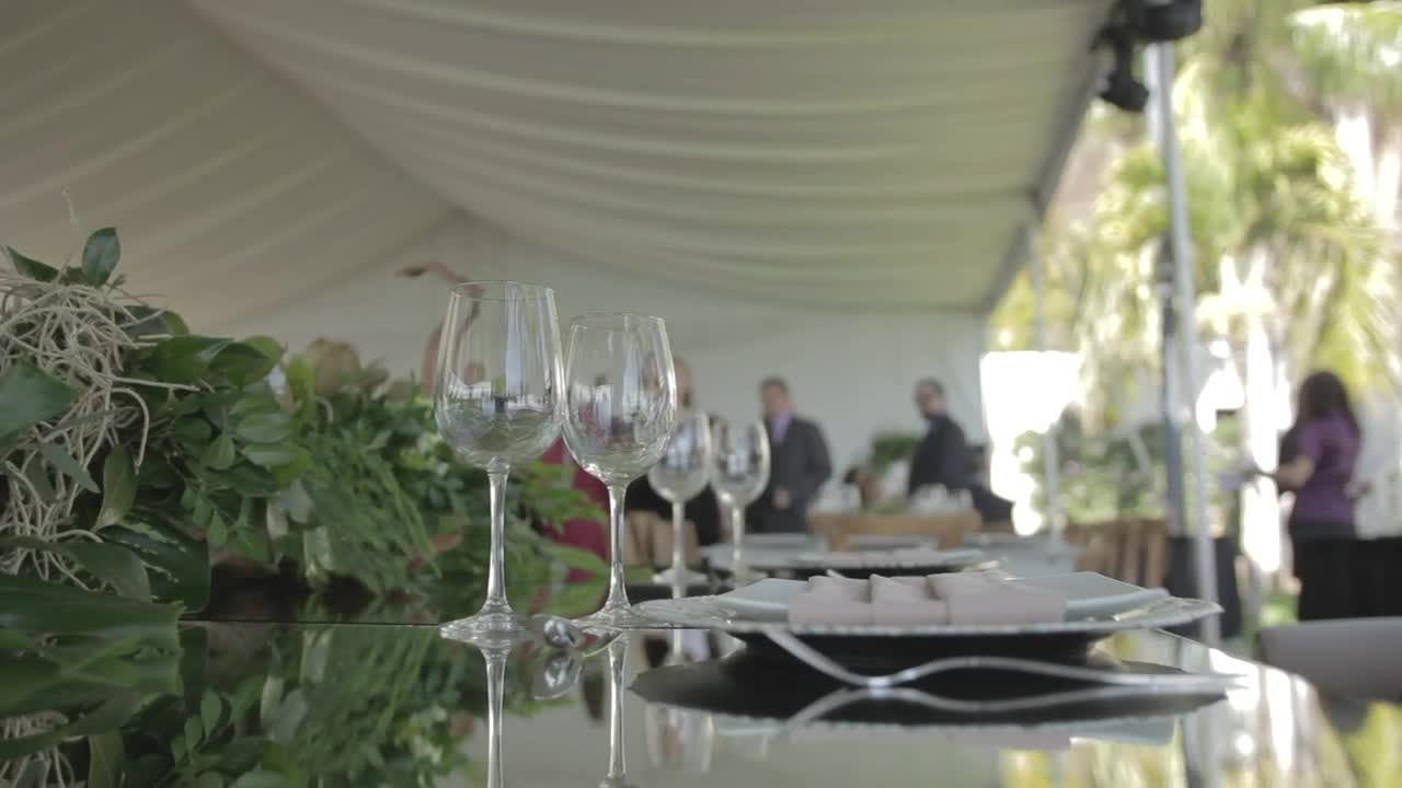 Stock Video Gala Party Seen From Above A Table Live Wallpaper For PC - Free Download