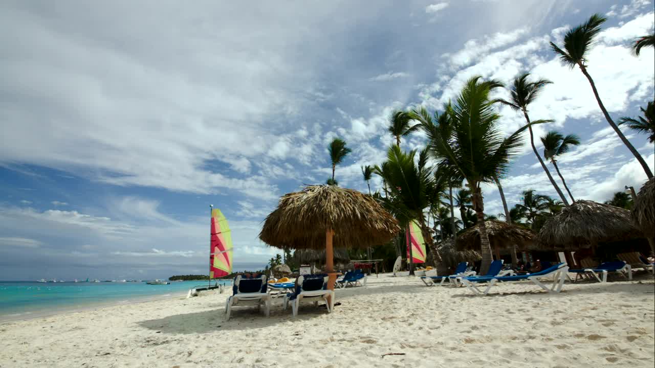 Free Video Stock tractor driving down a tropical beach Live Wallpaper - Free Download