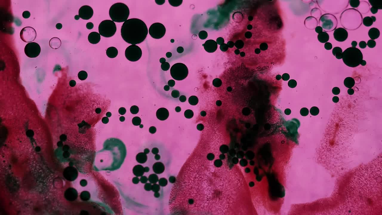 Stock Footage Virus Infected Cells Live Wallpaper - Free Download