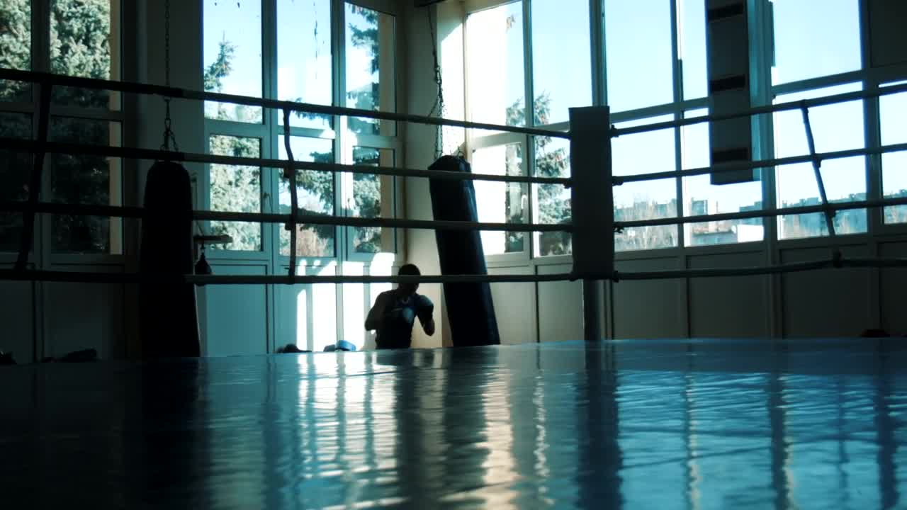 Free Stock Video Silhouette Of Boxer Hitting The Punching Bag Live Wallpaper - Free Download