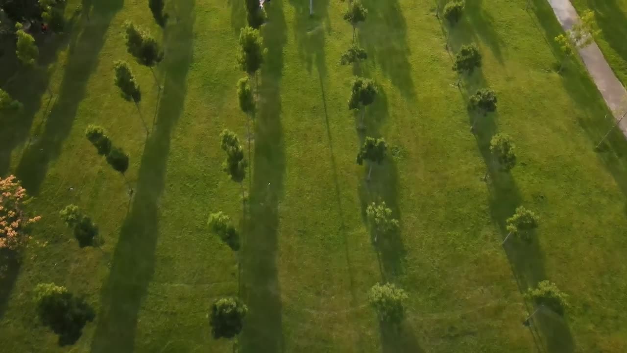 Stock Video Empty Park After Coronavirus Pandemic Live Wallpaper For PC - Free Download