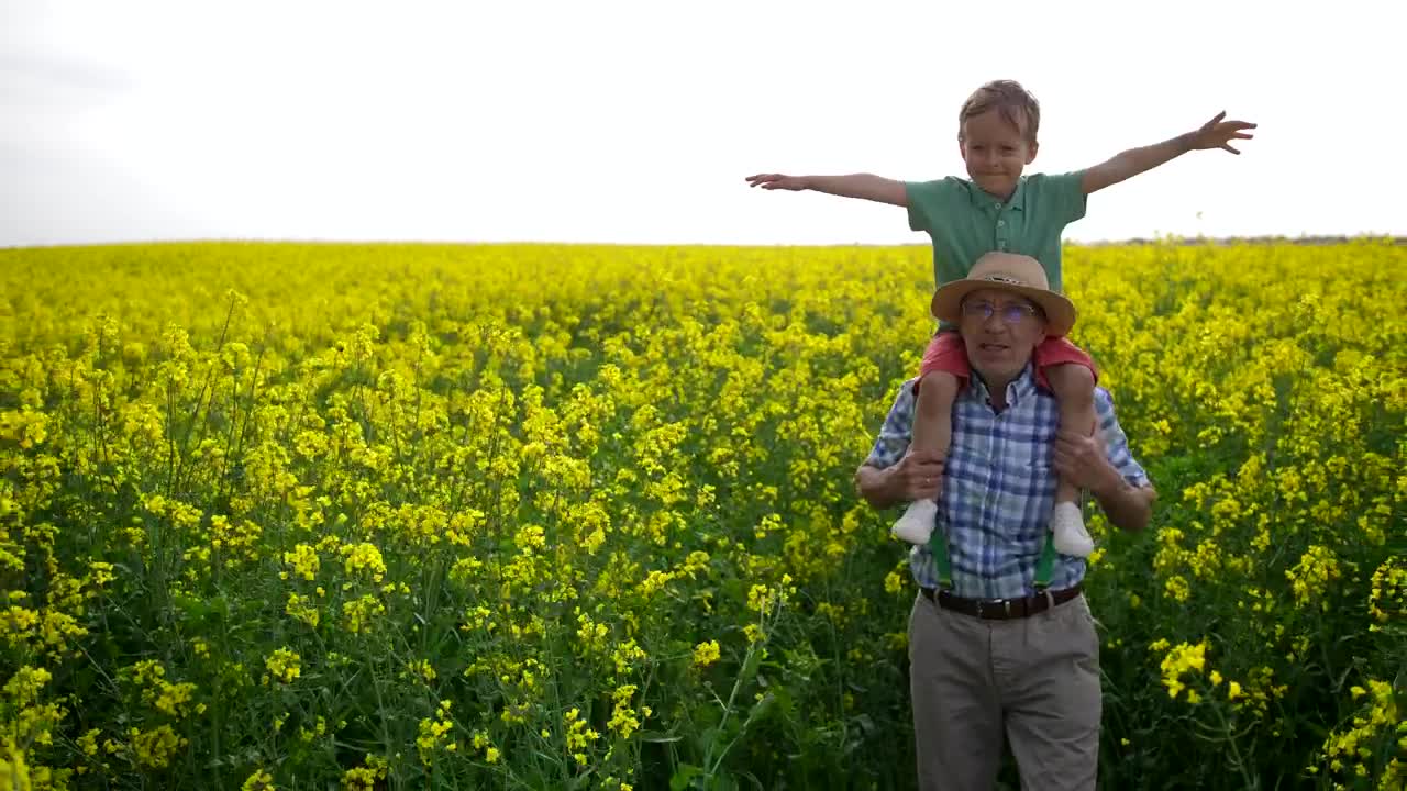 Stock Video Grandfather Walking With His Grandson Live Wallpaper For PC - Free Download