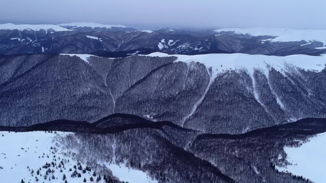 Stock Footage Winter Mountains With Lots Of Vegetation Live Wallpaper - Free Download
