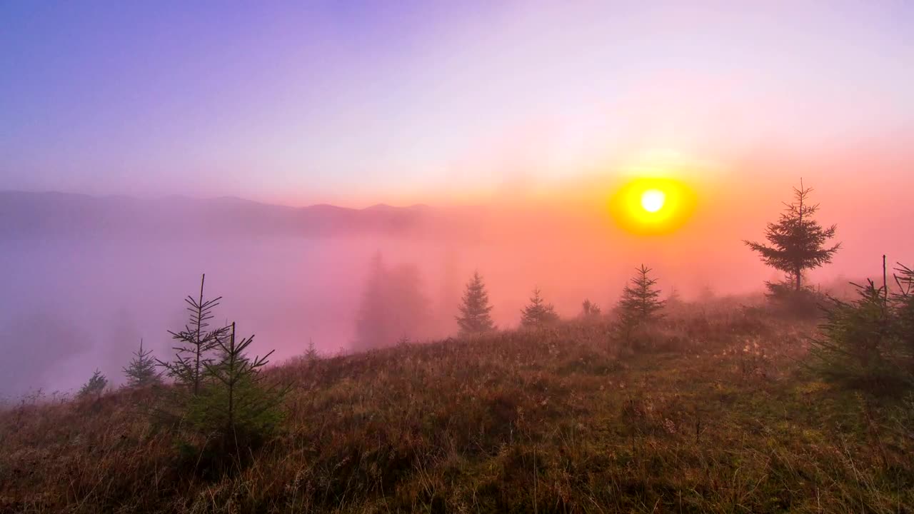 Stock Video Misty Morning In The Mountain Animated Wallpaper - Free Download