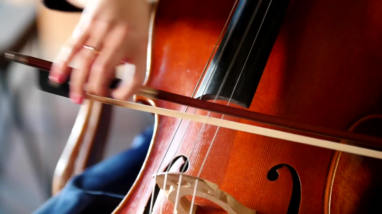 Video Stock Playing The Cello Close Up Live Wallpaper Free - Free Download