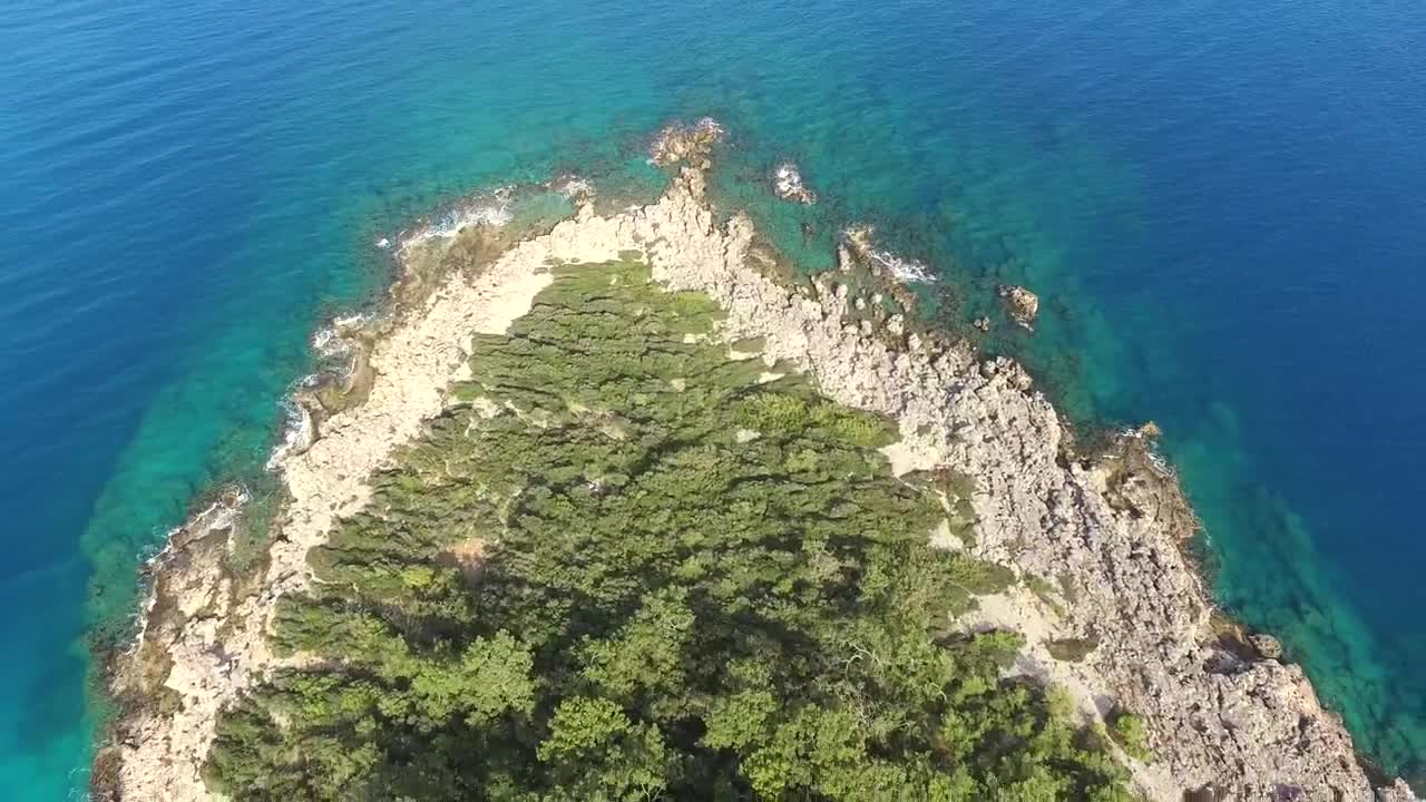 Stock Video Coastline With Vegetation And A Blue Lake Live Wallpaper For PC - Free Download